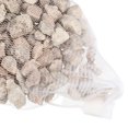 thumbnail image 3 of Unique Bargains 1 Pack Fish Tank Filter Media Aquarium Filter Balls Ceramic Rings Set for Fish Tank and Pond, 3 of 7