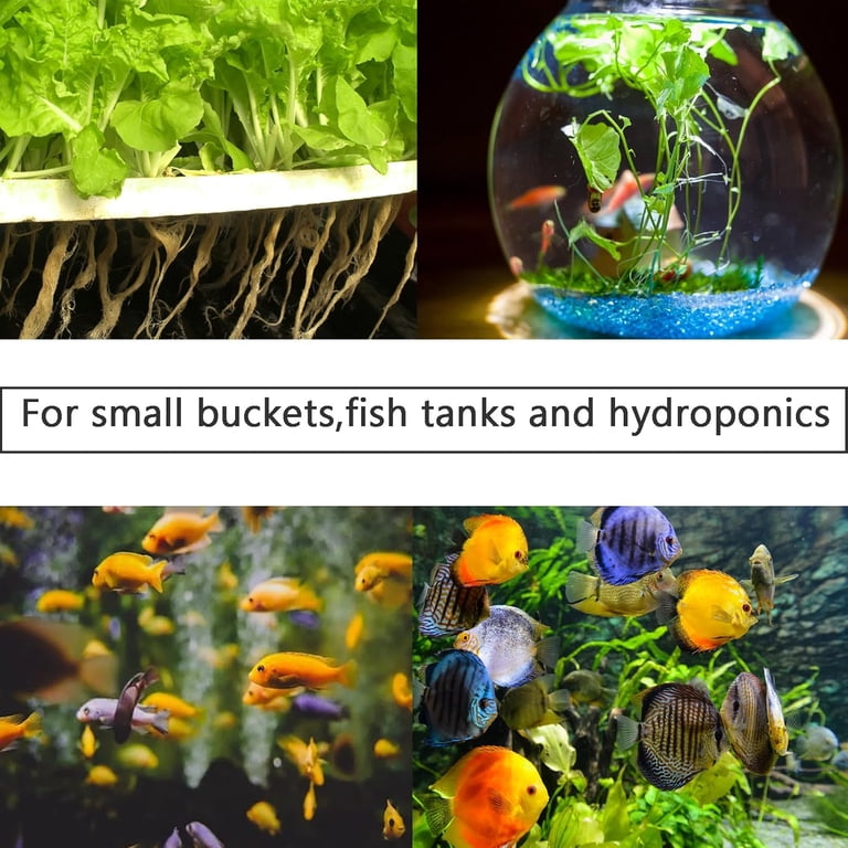 Aquarium Air Stones 2 inch 12 Pack, Bubble Stone, Fish Tank Airstones, Aerator Stone Bubble Diffuser, Air Pump Accessories for Aquariums, Fish Tanks, ... Aquarium Air Stones 2 inch 12 Pack, Bubble Stone, Fish Tank Airstones, Aerator Stone Bubble Diffuser, Air Pump Accessories for Aquariums, Fish Tanks, ...