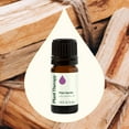 thumbnail image 3 of Plant Therapy Palo Santo Essential Oil 100% Pure, Undiluted, Natural Aromatherapy, Natural Aromatherapy 5 mL (1/6 oz), 3 of 8