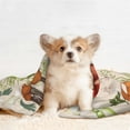 thumbnail image 4 of Naloa Cute Vegetables Dog Blanket, 3 Sizes Cat Blanket for Indoor Cats Large Medium Small Dog Gifts-Small, 4 of 8