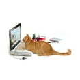 thumbnail image 4 of Suck UK | Laptop Cat Scratcher | Cardboard Cat Scratcher | Cat Accessories & Toys, 4 of 8