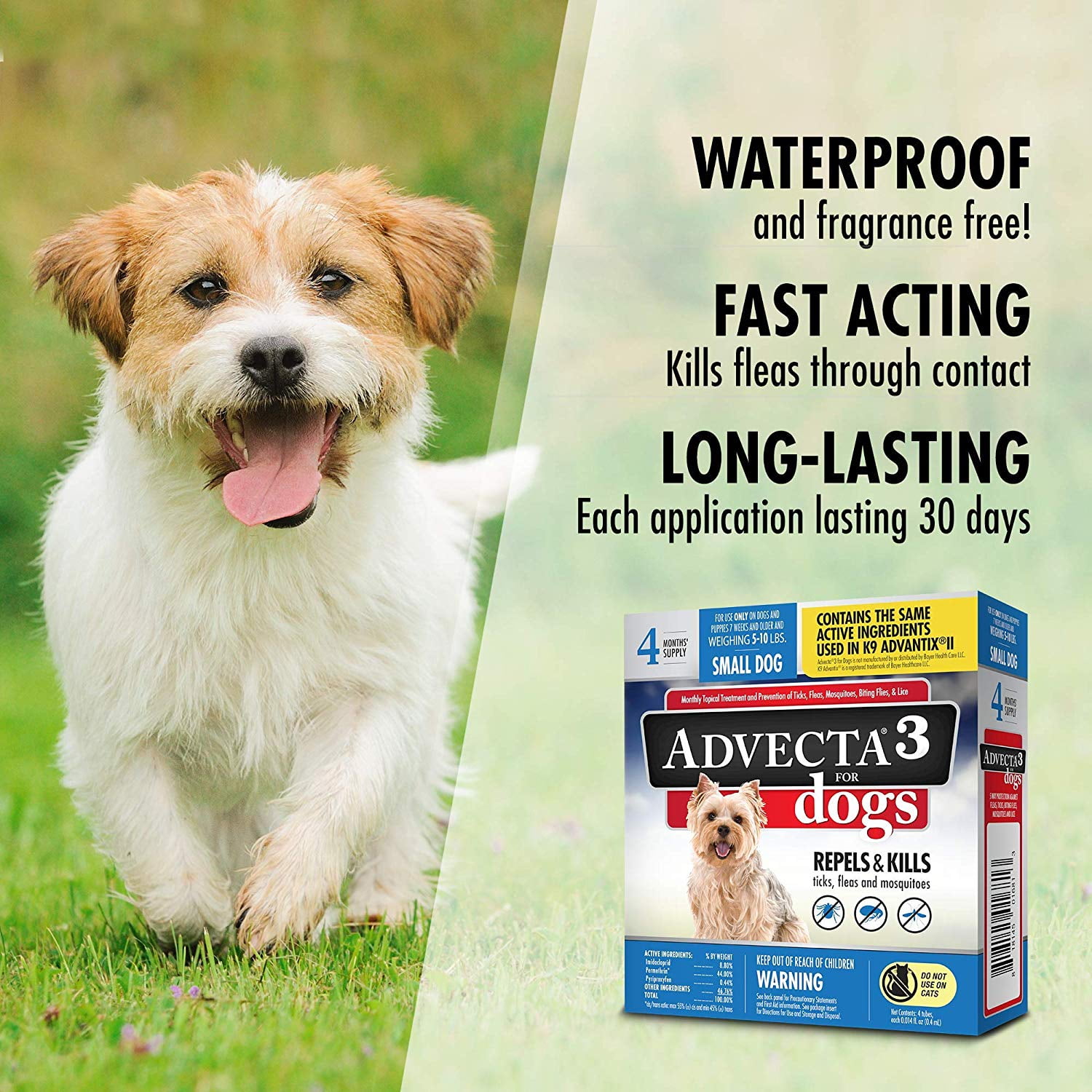 advecta flea and tick