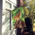 thumbnail image 2 of Carolines Treasures BB9883CHF Doberman Pinscher St Patricks Flag Canvas House Size  Large multicolor, 2 of 4