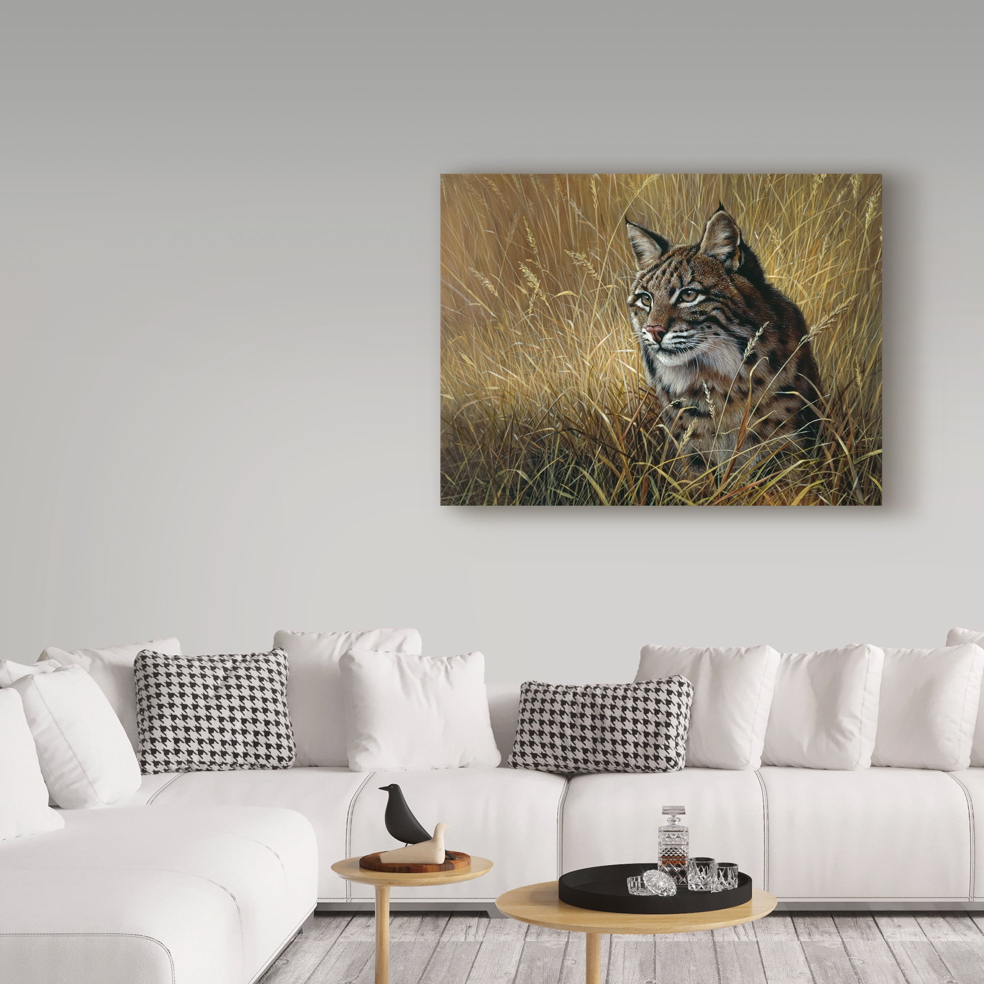 Trademark Fine Art 'Bobcat In Grass' Canvas Art by Harro Maass