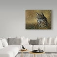 thumbnail image 3 of Trademark Fine Art 'Bobcat In Grass' Canvas Art by Harro Maass, 3 of 3
