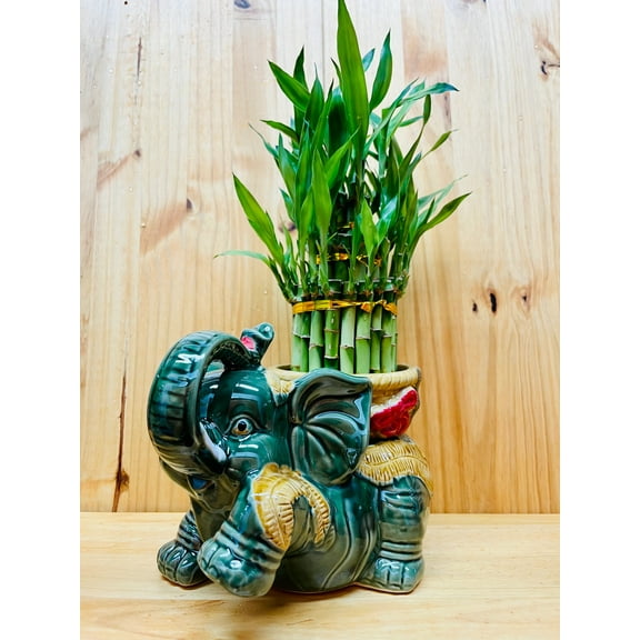 Jumbo Ceramic Lucky Bamboo Elephant