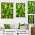 thumbnail image 4 of Designart "Dancing Parsley Herbs II" Floral Framed Wall Art - Traditional Green Herbs Entryway Framed Wall Art Print, 4 of 6