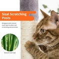 thumbnail image 6 of Dkelincs 36 inch Cat Tree Tower with Scratching Post & Dual Condos, Multi-Level Cat Furniture Condo Kittens House with Ramp, Perch & Hanging Ball, Ashy, 6 of 7