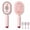 Pink, variant on NEW 5 in 1 Air Cushion Brush - Electric Spray Air Cushion Massage Comb, Cordless Nano Mist Hair Brush with Self-Cleaning Button, Anti-Static Detangling Steam Brush for Wet/Dry Hair (Pink)
