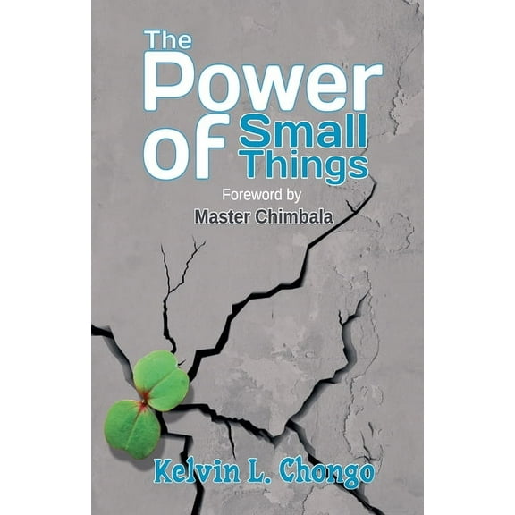 The Power of Small Things, (Paperback)