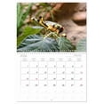 thumbnail image 6 of Insect terraristics (Monthly Wall Calendar 2026 11.7 x 16.5 (open)), CALVENDO 14 Month Calendar, 6 of 9
