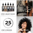 thumbnail image 4 of Clairol Professional Beautiful Collection Semi-Permanent Color, Rich Dark Brown [2A} 3 oz, 4 of 6