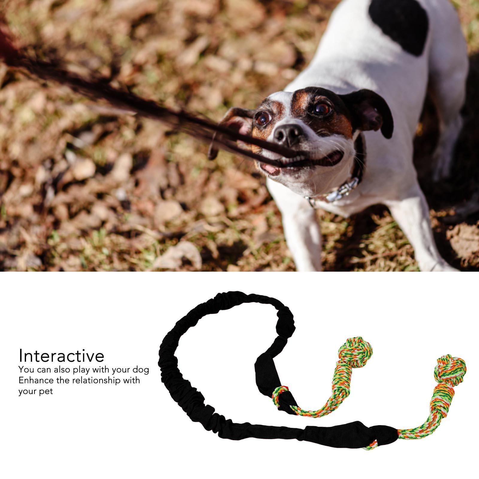BIMZUC Durable Dog Tug Rope Toy – Bite‑Resistant, Teeth‑Grinding Hanging Rope with Extra Cotton Ball for Indoor & Outdoor Play