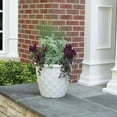 thumbnail image 4 of Suncast 16 Inch Pinehurst Decorative Modern Garden Planter, Light Gray (2 PK), 4 of 4