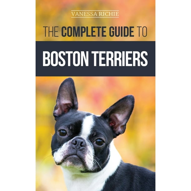 The Complete Guide to Boston Terriers Preparing For