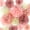 Pink, variant on EpiqueOne 20 Piece Tissue Paper Pom Poms | Blush Pink, Dusty Rose, Mauve & Cream | Colorful Paper Flower Wall Decorations for Bridal Showers, Baby Showers, Weddings, Graduations, Tea Parties & More