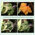 thumbnail image 3 of 8Pcs Betta Fish Leaf Pad Hammock Resting Spot Fish Tank Decoration Ornamental Simulation Plants for Fish Reptile, 3 of 6
