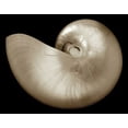 thumbnail image 2 of Britt, Charles 24x20 White Modern Wood Framed Museum Art Print Titled - Ocean Keepsake I, 2 of 4
