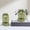 Green, variant on Classic Easter Island Statue Glasses Holder, Easter Island Head Statue Glasses Stand, Easter Decoration Ornament for Nightstand Desktop Home & Office, Resin Sculptures Gifts for Men & Women
