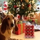 thumbnail image 4 of Teissuly 24Pcs Christmas 5cm Balls, Electroplated Balls, Christmas Tree Decorations, Hanging Decorations, Festive Atmosphere And Christmas Balls Teissuly WER202311273813, 4 of 8