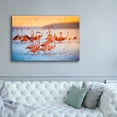 thumbnail image 5 of Epic Graffiti 'Wading Flamingos' by Jonathan Ross, Canvas Wall Art, 60"x40", 5 of 8