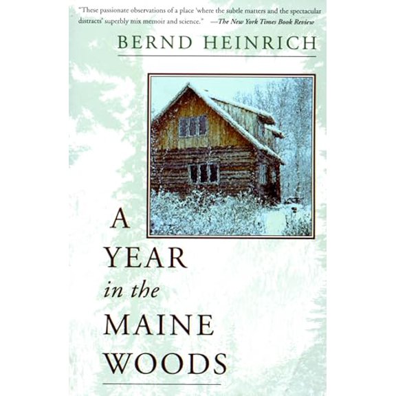 Pre-Owned A Year in the Maine Woods (Paperback) 0201489392 9780201489392