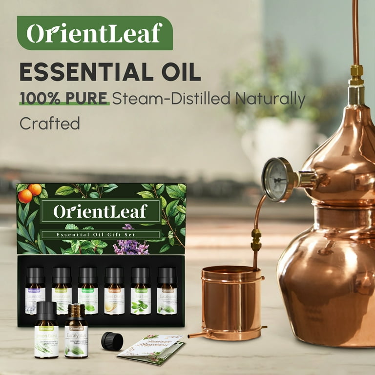 6pcs Natural Aromatherapy Essential Oils Set Essential Oils For