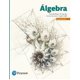 thumbnail image 1 of ALGEBRA PEARSON EDUCACION ELENA DE OTEYZA, 1 of 1