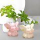 thumbnail image 1 of Figura de decoración de mesa de elefante | Lindo adorno de estatua de elefante para el hogar | Soporte de TV para sala de estar Mueble de vino Accent | Caja de regalo incluida | Detalles exquisitos, 1 of 1