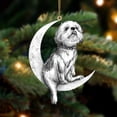 thumbnail image 1 of Perros Colgantes Colgantes Para Árboles De Navidad Decoraciones Para Perros Para Mascotas Colgantes Para Colgar En Ventanas O Puertas Advancent HA042685-04, 1 of 6