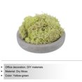 thumbnail image 3 of Unique Bargains Mousse Préservée 3.5 OZ Mousse Artificielle pour Projet Floral Décoration de Table Jaune Vert, 3 of 7