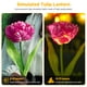 thumbnail image 5 of Luz De Enchufe De Tierra De Tulipán 2 piezas de luz de enchufe de tierra de tulipán solar 600 mAh IP65 decoración de jardín (gradiente púrpura), 5 of 6
