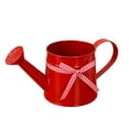 thumbnail image 4 of Watering Can for Indoor Plants, 35 oz/1000 ml Metal Stainless Steel Pot with Long Spout for House Plants Bonsai Outdoor Garden Flower Decorative,Red, 4 of 7