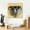 thumbnail image 6 of Epic Graffiti 'Highland Animal Ram' by Silvia Vassileva, Canvas Wall Art, 18"x18", 6 of 8