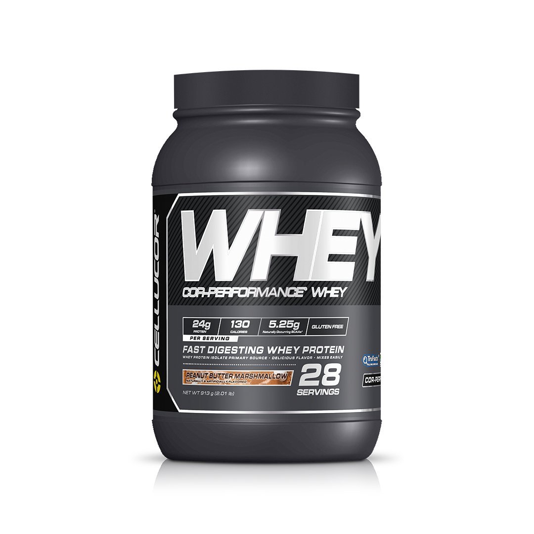 Whey Protein Powder