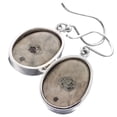 thumbnail image 3 of Sea Star Sand Dollar Fossil 925 Sterling Silver Earrings, 13/16", 3 of 3