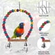 thumbnail image 2 of 17 Uds. De juguetes para loros, juguetes para pájaros, juguetes para masticar jaulas para pájaros, columpios, perchas de madera, campanas para pájaros, loros, colores aleatorios ER, 2 of 5