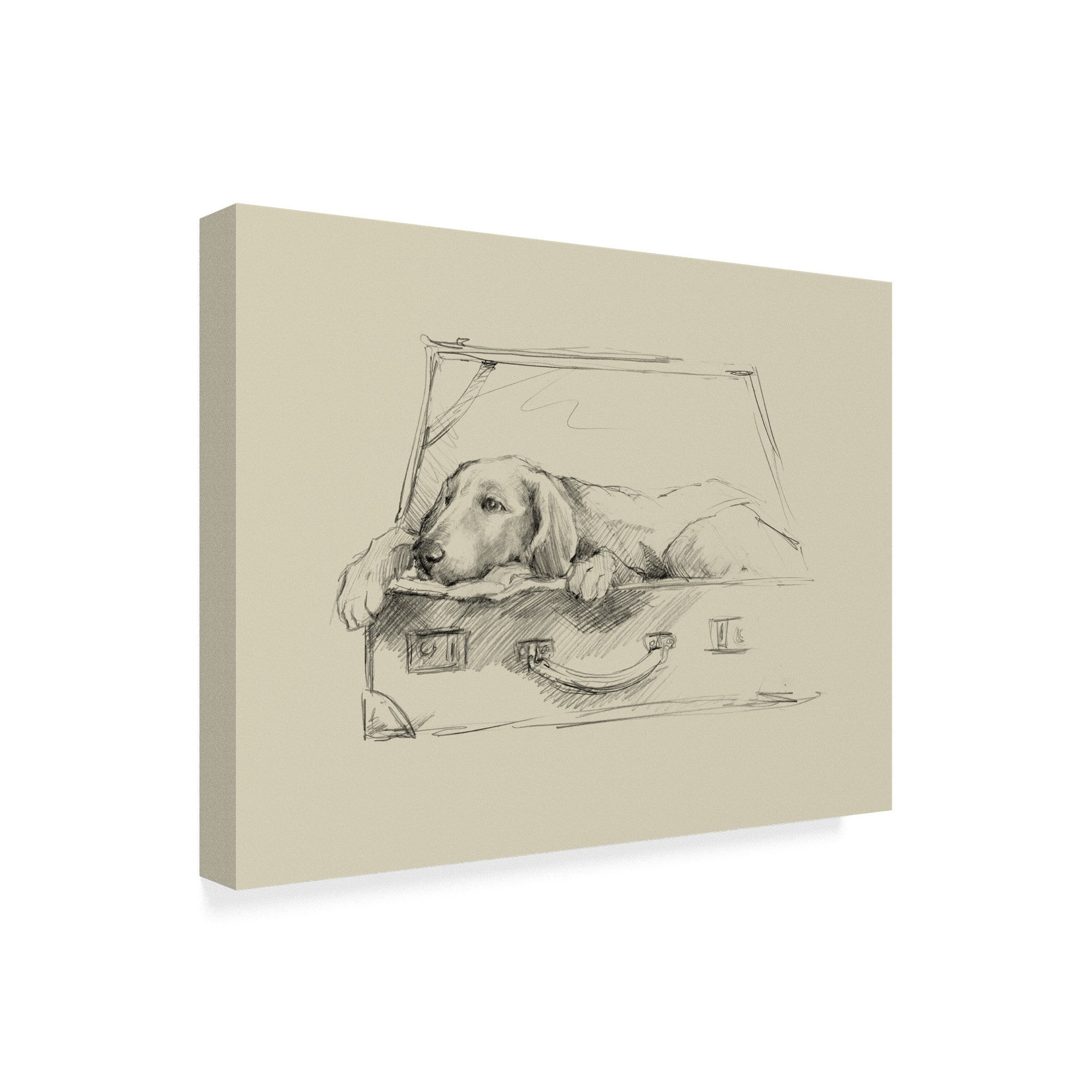 Trademark Fine Art 'Stowaway III' Canvas Art by Ethan Harper