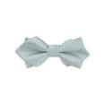 thumbnail image 1 of INSPIRAR CHIC Corbatas de Pajarita para el Día del Padre para Hombres, Corbatas de Pajarita Pre-atadas Sólidas para Bodas Formales en Gris Plateado, 1 of 4