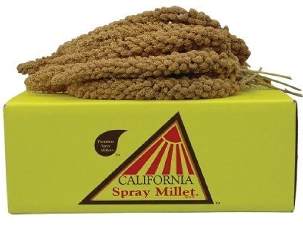 California Golden Spray Millet for Birds Premium Spray Millet