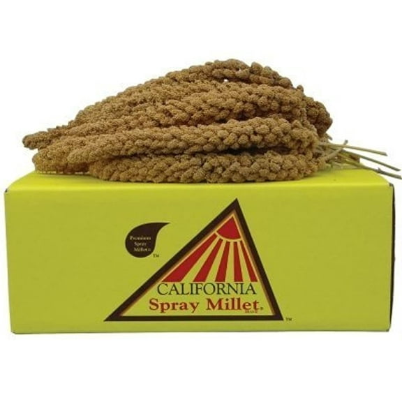 California Golden Spray Millet for Birds - Premium Spray Millet