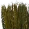 thumbnail image 4 of 35" Dried Plant Natural Foliage Leaves Bouquet with Feather Inspired Stems, by DecMode, 4 of 7