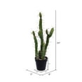 thumbnail image 2 of Vickerman FE191124 24 in. Green Potted Cactus Plastic Planter Pot, 2 of 2