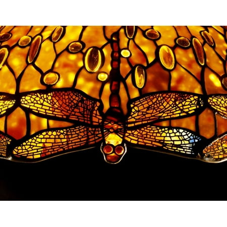 Dichroic Design - Detail of An Important Dichroic Dragonfly Stretched Canvas - Tiffany Studios (22 x 28)