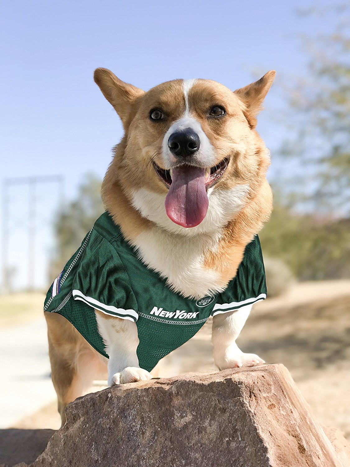 Pets First NFL New York JetsLicensed Mesh Jersey for Dogs and Cats - Extra Extra large