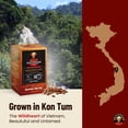 thumbnail image 3 of Saigondan Drip Instant Coffee - Adventure | Light Espresso Roast | 100% Robusta | Vietnamese Single Origin | Small Batch Roasted | Direct Trade | Mild and Sweet Taste | No Preservatives | 18 Sachets, 3 of 10