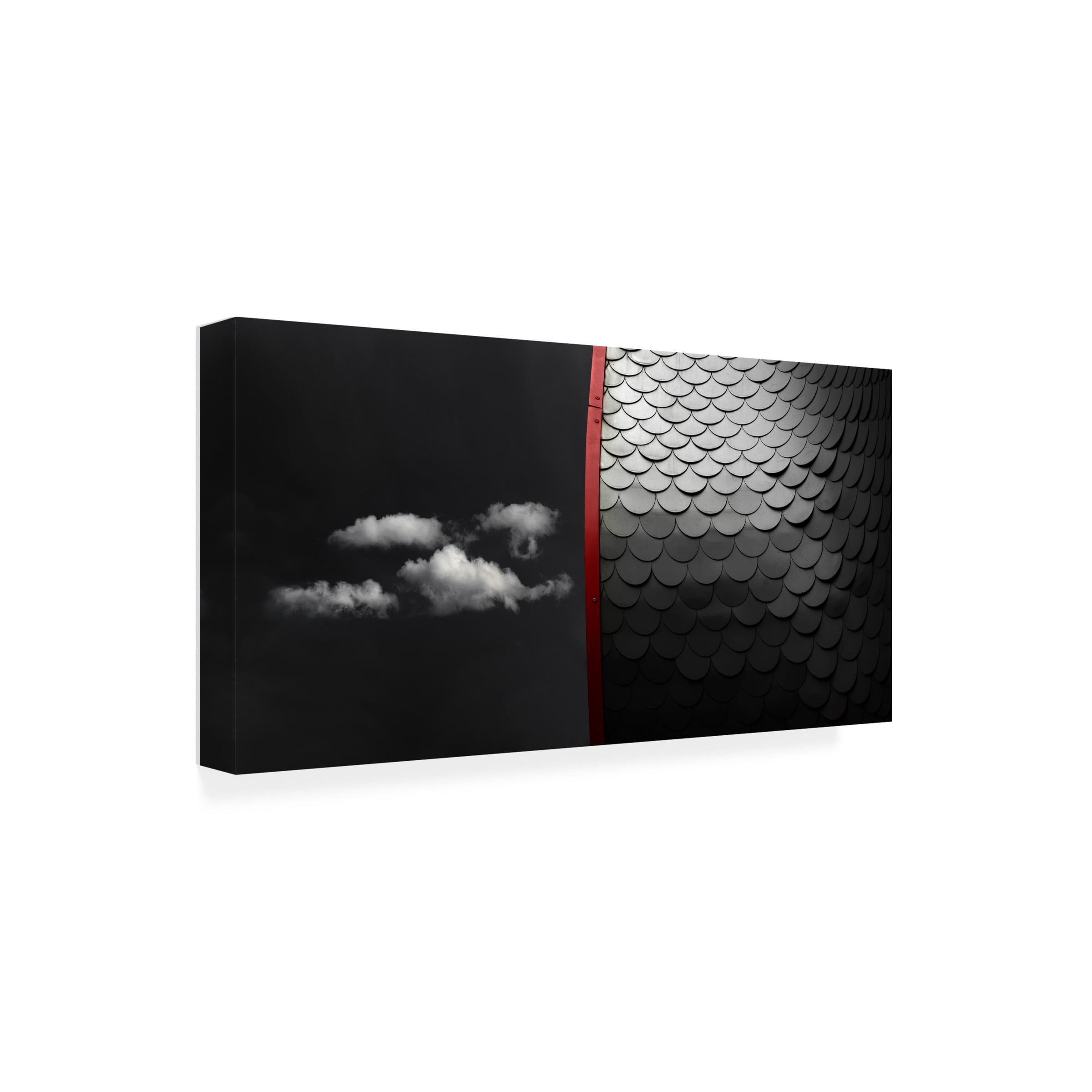Marc Huybrighs 'Free' Canvas Art