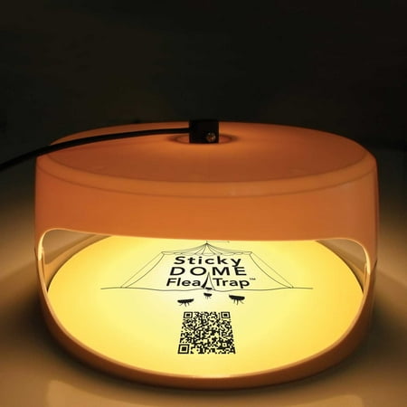 Trapest Sticky Dome Flea Bed Bug Trap with 2 Glue Discs. Odorless Non-poisonous and Natural Flea Killer Trap Pad