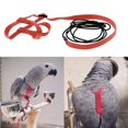 thumbnail image 4 of Bird Harness Adjustable Parrot Nylon Leash For Outdoor Activities Training For Eastern Bluebonnet Parrot Cockatoo Parakeet, 4 of 8