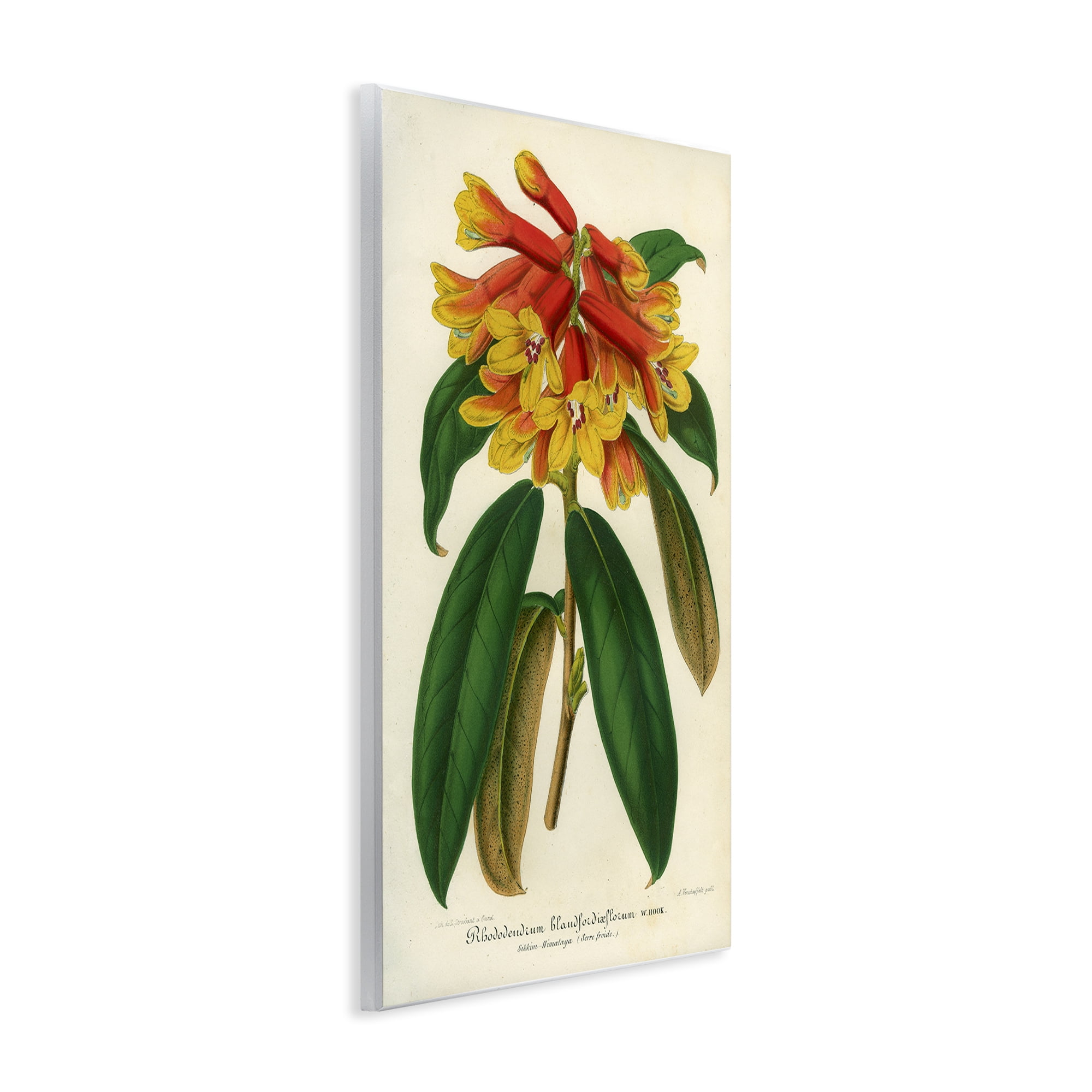 Stupell Industries Orange Yellow Rhododendron Wall Plaque Art, design by Print Collection